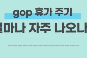 gop 휴가 주기