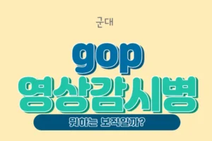 gop 영상감시병