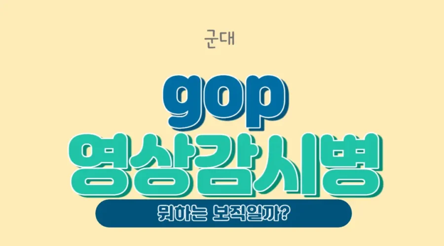 gop 영상감시병