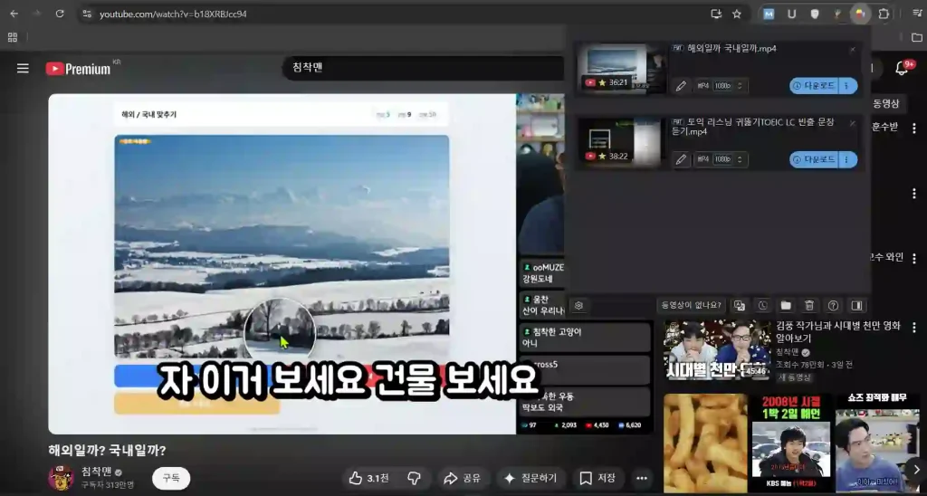 Video-DownloadHelper-사용법